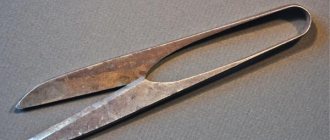 Ancient scissors