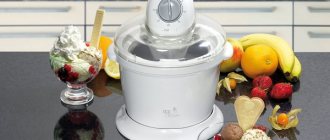 Ice cream maker with fruits